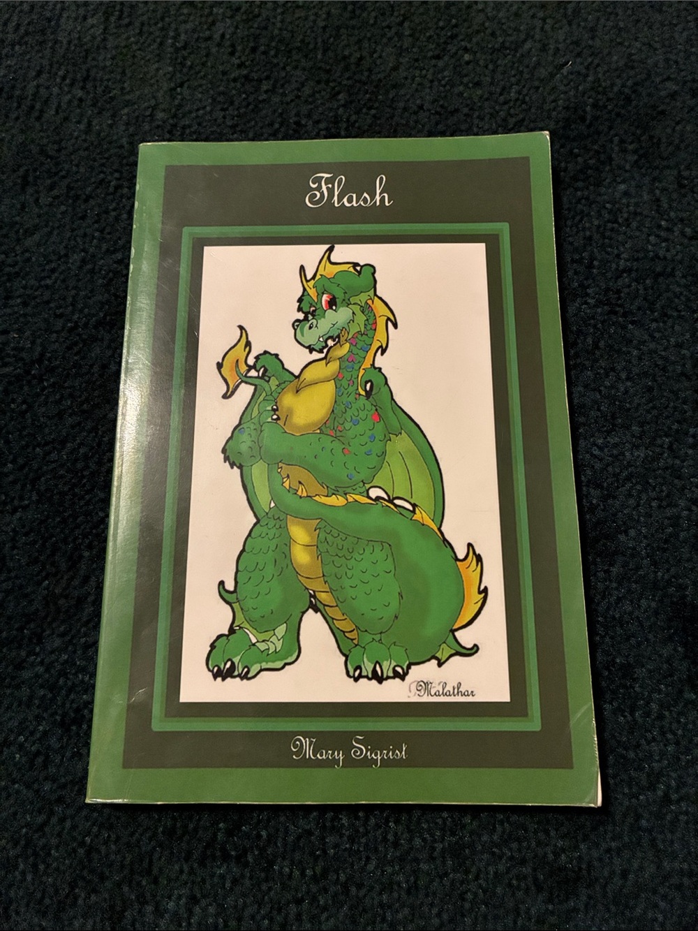 Flash by Mary Sigrist Children’s Book